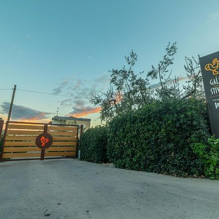 Il Gallo Con Gli Stivali Térmoli Exterior foto